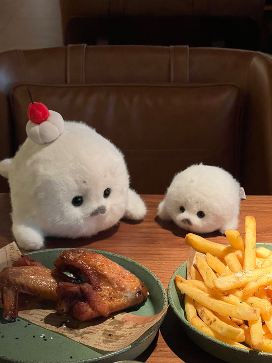 Snowball the Seal