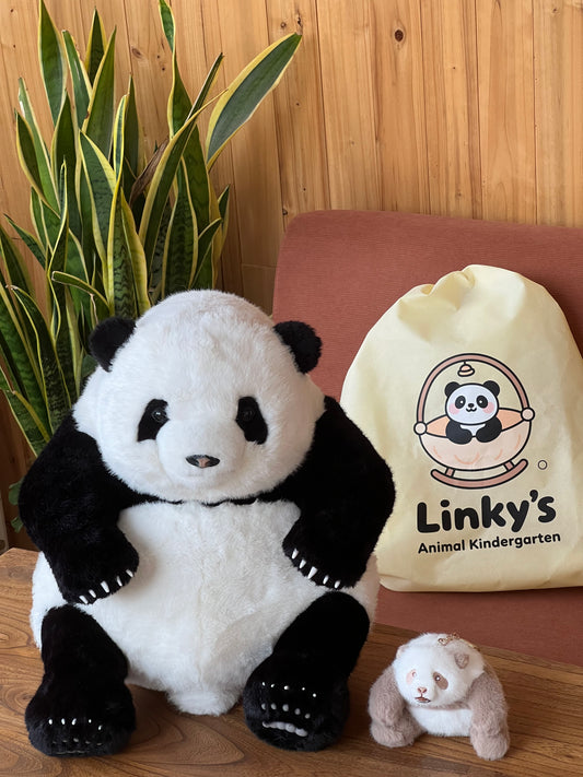 Huahua the Panda