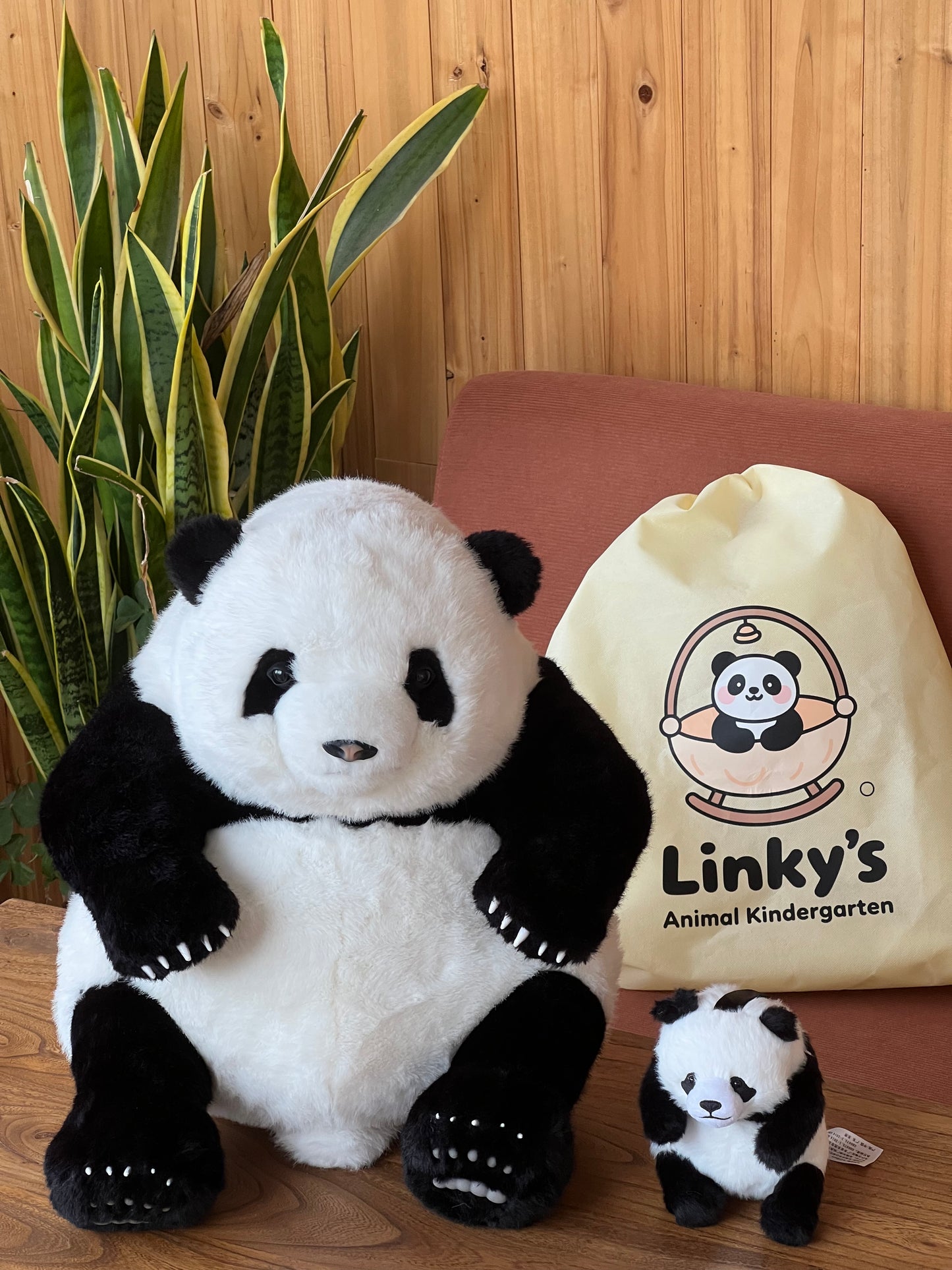 Huahua the Panda