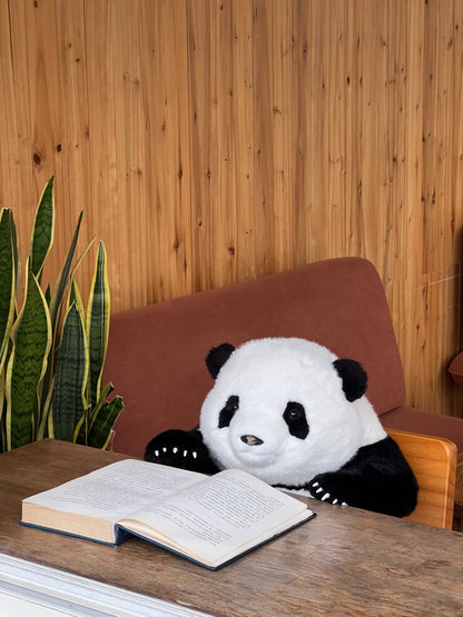Huahua the Panda