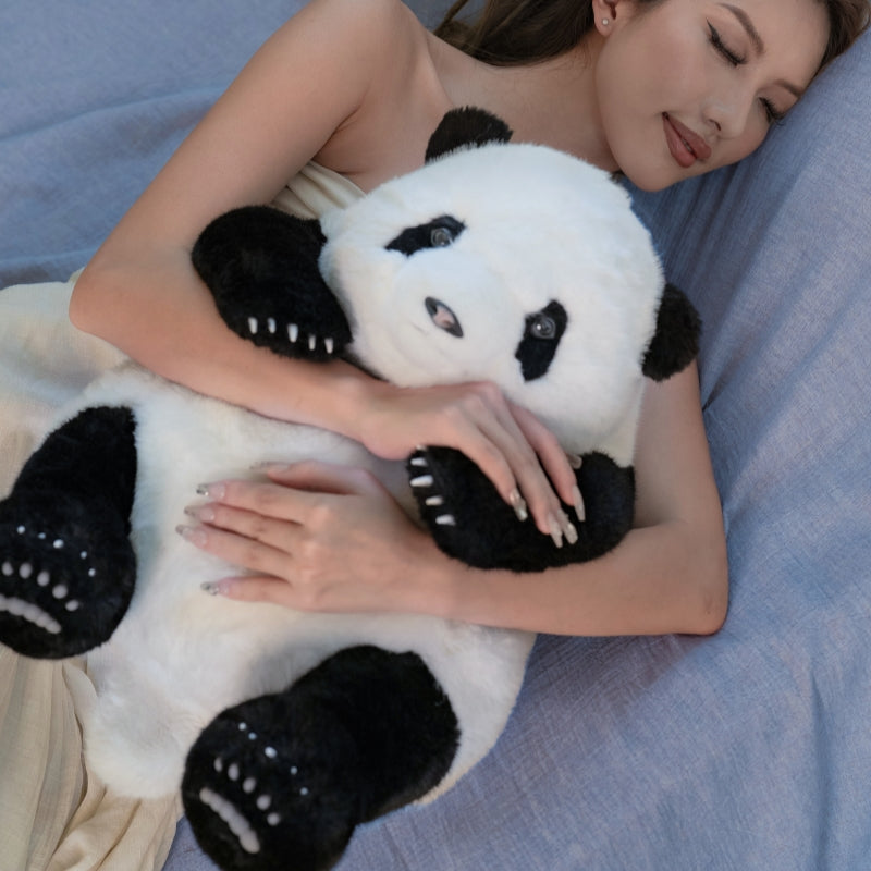 Huahua the Panda