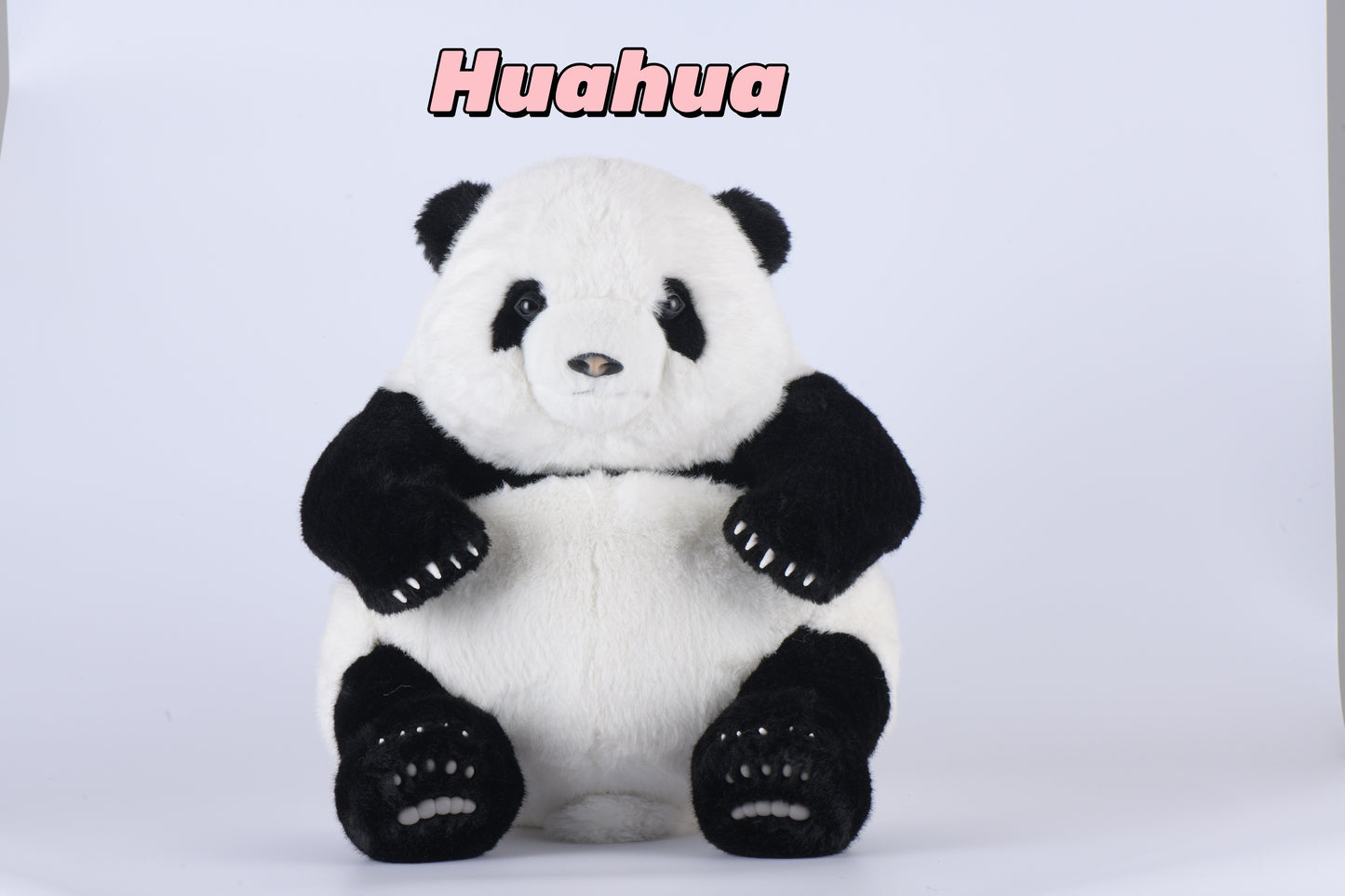 Huahua the Panda