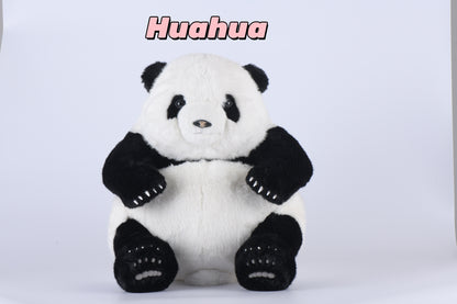 Huahua the Panda