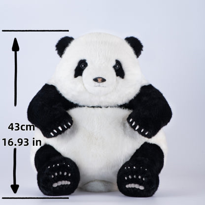 Huahua the Panda