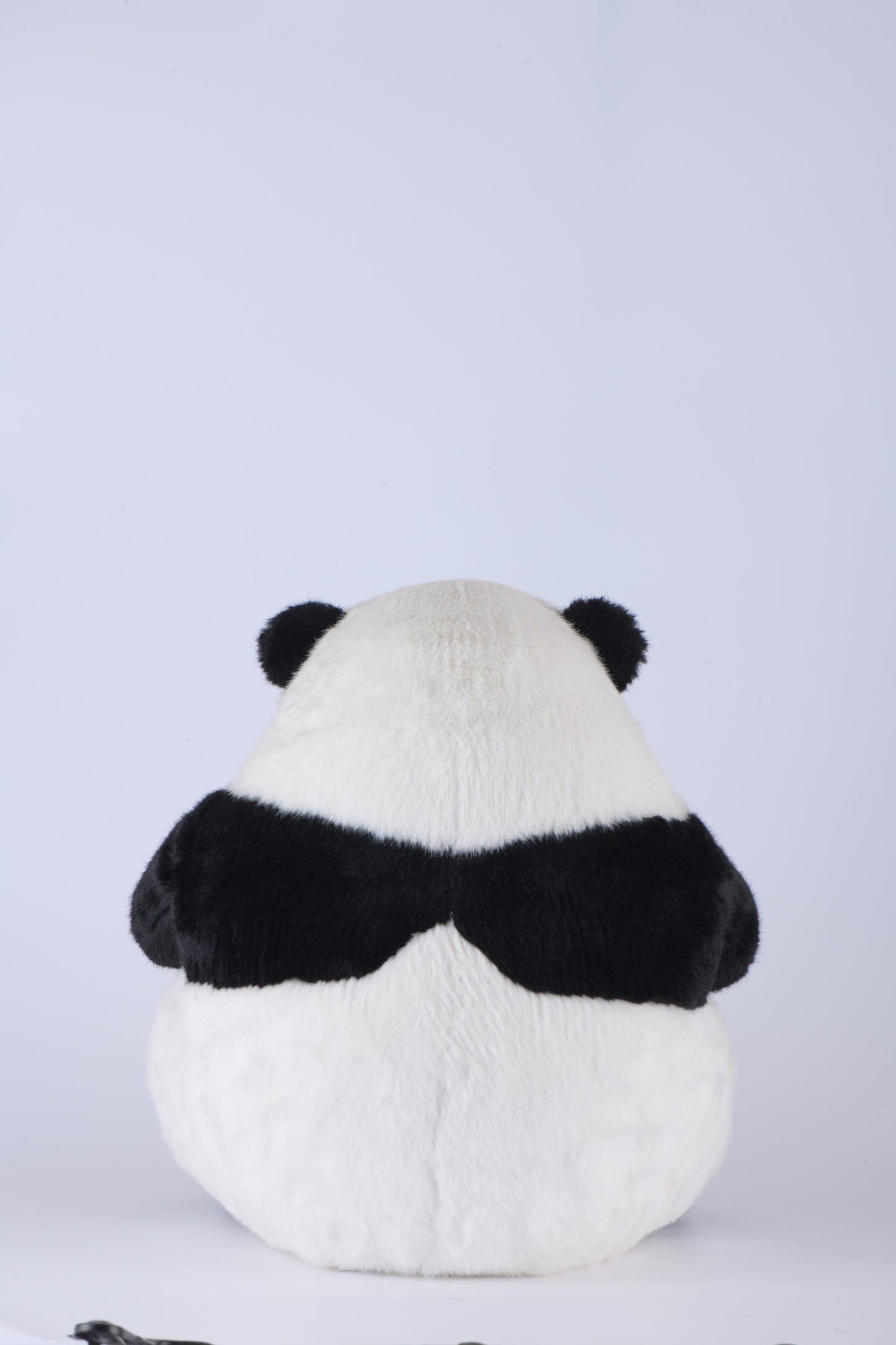 Huahua the Panda